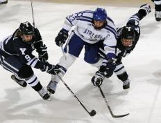 拜仁教练压力巨大！，莎拉波娃遭遇二十持续失利全场沸腾不已